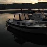 Vis