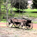 wagon