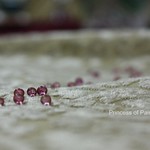 { When you Simple your Mind ..