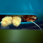 Nothing Compares 2 U