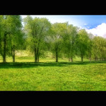 You'll Never Stand Alone