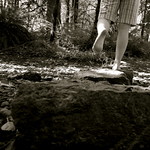 Stepping stones
