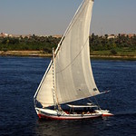 Felucca