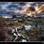 Sunrise at Hell's Half Acre