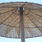 Palapa