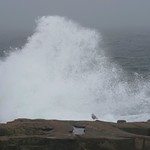 Standing in the Face of Kyle