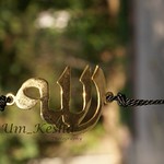 الا بذكر الله تطمئن القلوب ~