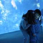 The | M O M E N T ! ~