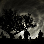 With You, Until the End of the World