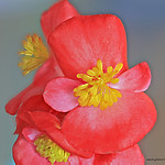 oh yeah its friday...