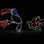 National Zoo Light Show