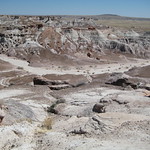 Blue Mesa Outlook