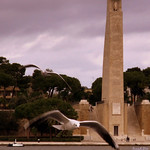 ... impariamo a volare