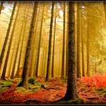 an der Autobahn - another morning walk