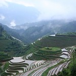 Longji Rice Terraces