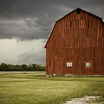 barn stormin