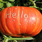 Friendly pumpkin