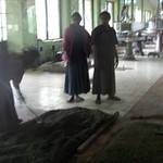 Mackwood's Labookellie Tea Centre - outside Nuwara Eliya, Sri Lanka