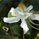 Remembering... the happy and the sad