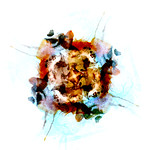 Diametrically Opposed