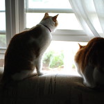 We know not this 'outdoors'