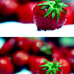 t h e . l o v e . t a s t e