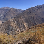Colca canyon