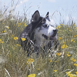 Take time to smell the flowers