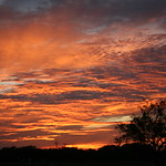 I thought I was dreaming....