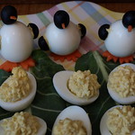 penguin eggs