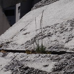 San Francisco 2011-06-24