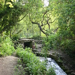 Small water fall in loose valley nr maidstone.