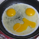 EGGS