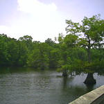 Chicot State Park Ville Platte, LA July2008 004