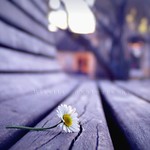 &ldquo;Tenderness and kindness are not signs of weakness and despair but manifestations of strength and resolution&rdquo;