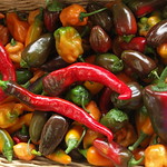 assorted hot peppers