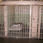 Alcatraz cell