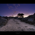 Follow the Footsteps