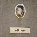 Enclos des Fusill&eacute;s - Ereperk der Gefusilleerden; Moses Lando 2