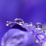 ~Blue Fantasy~