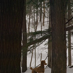 Standing Tall and Proud