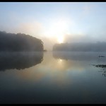 Sunrise on a Foggy Pond.