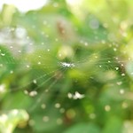 .................................center.............................