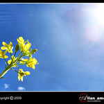 Francis Magalona, 1964 -2009