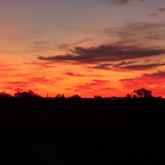 Sonoran Sunset