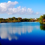 Beautiful day at the zoo