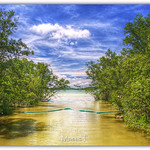 Sungei Tampines - A river flowing to the sea.