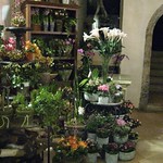 florist
