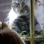 Good thing there is a window! _IGP9620