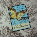 Papillon